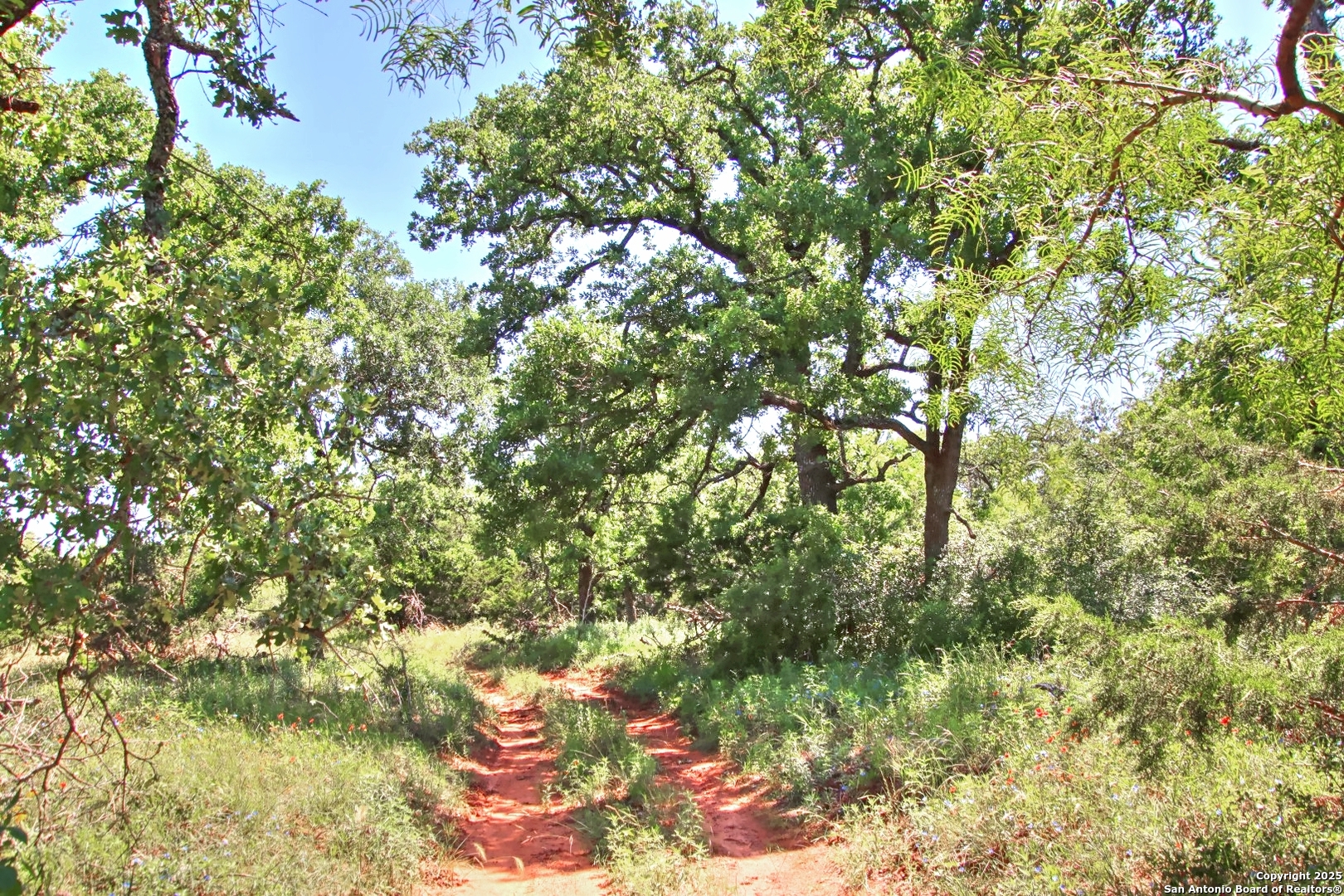 Lot 5 Rm 1323 Willow City TX 78675