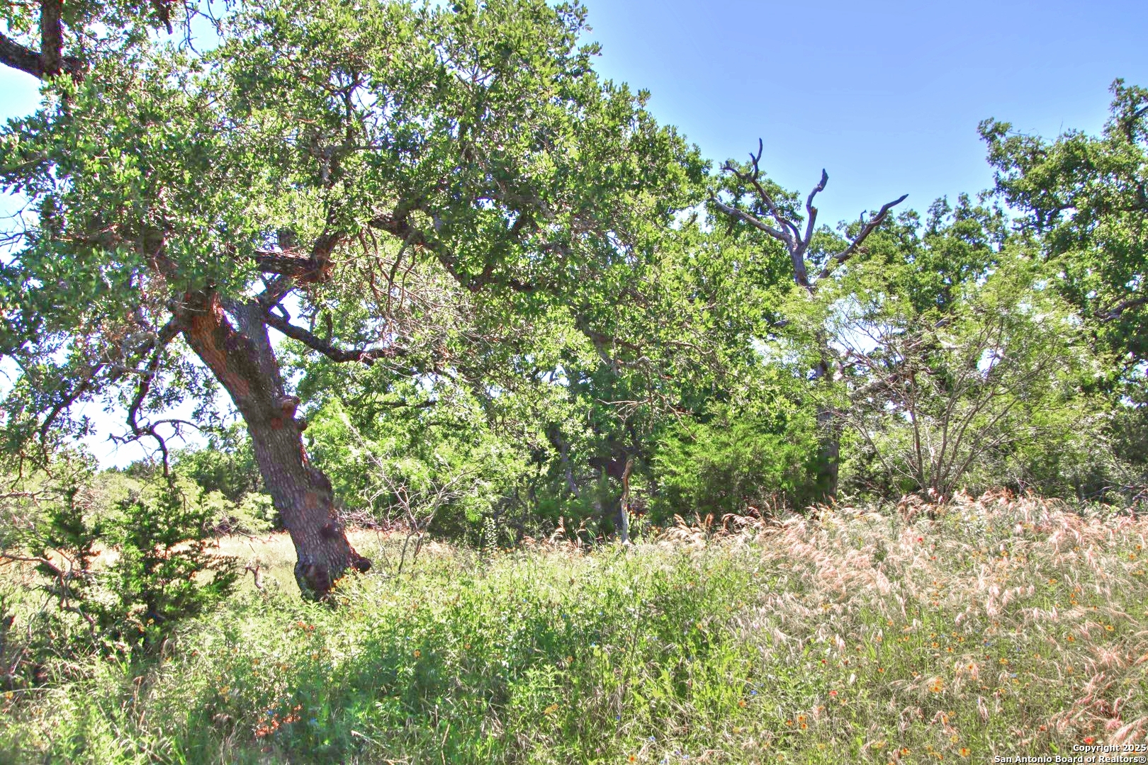 Lot 5 Rm 1323 Willow City TX 78675