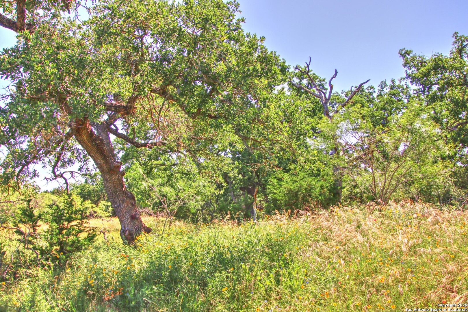Lot 5 Rm 1323 Willow City TX 78675