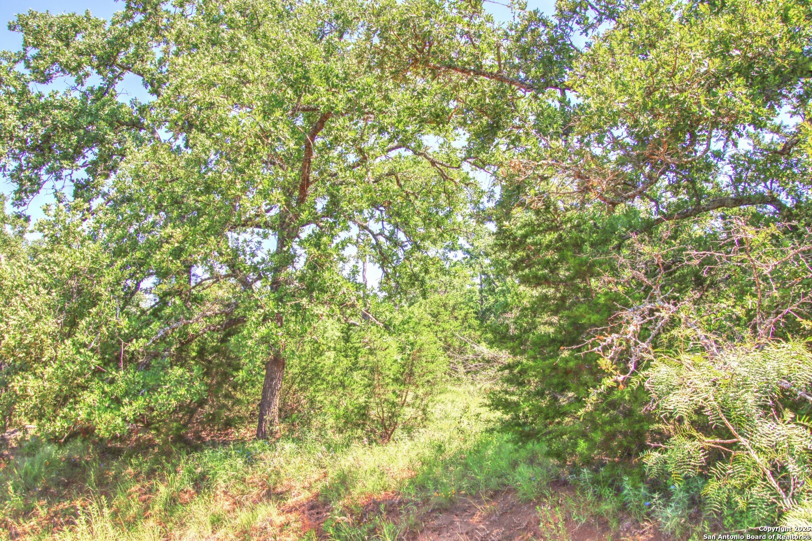 Lot 5 Rm 1323 Willow City TX 78675
