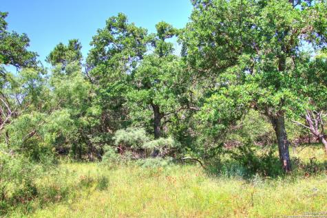 Lot 5 Rm 1323 Willow City TX 78675