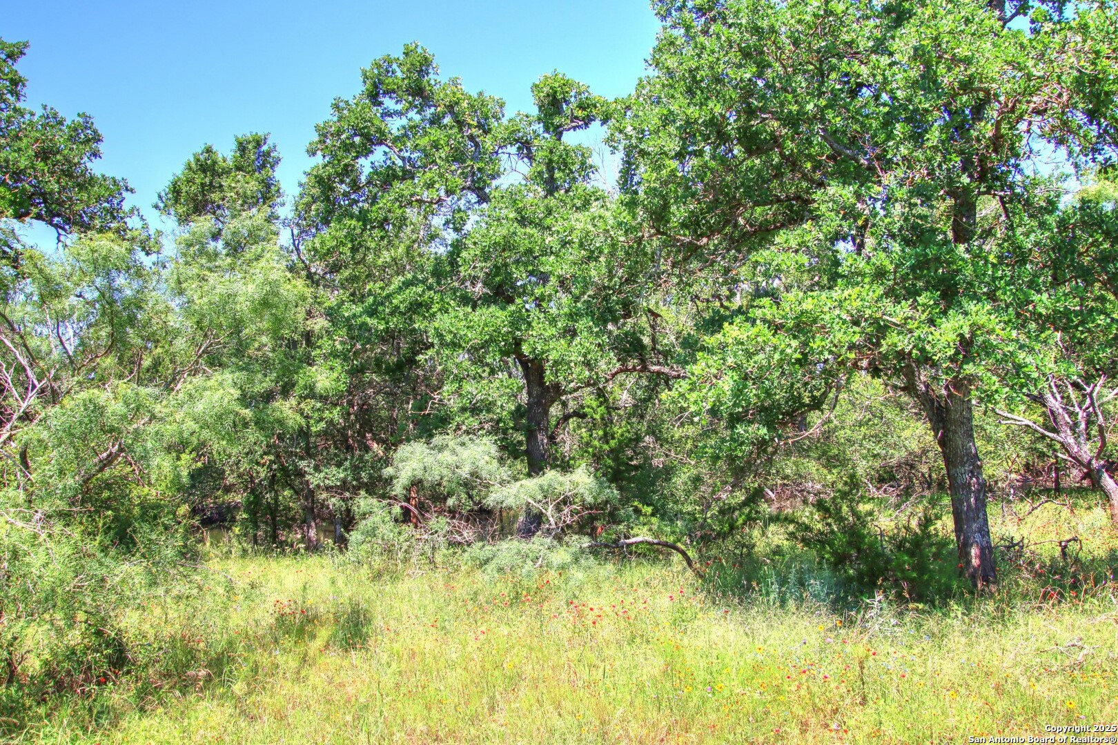 Lot 5 Rm 1323 Willow City TX 78675