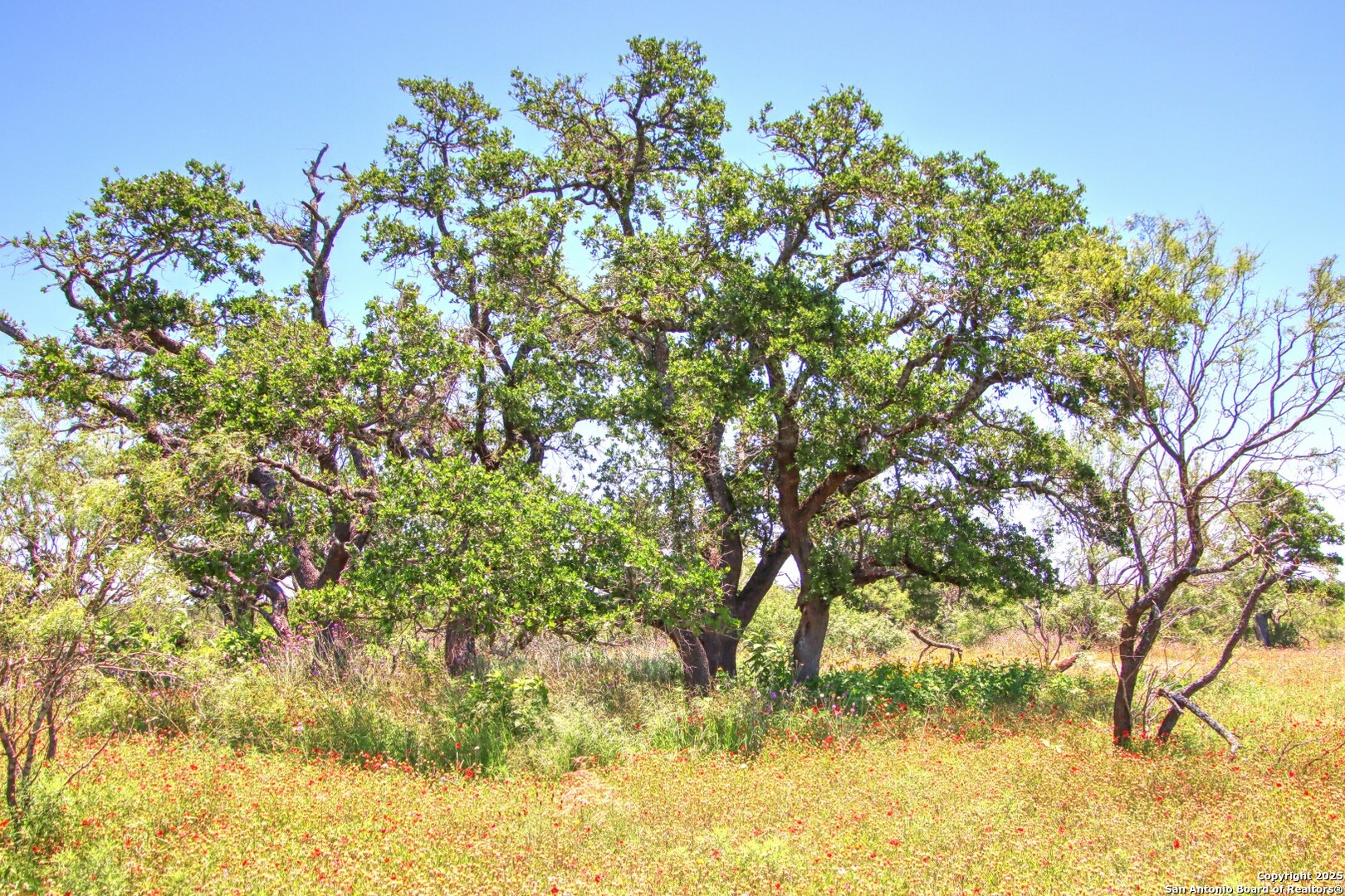 Lot 5 Rm 1323 Willow City TX 78675