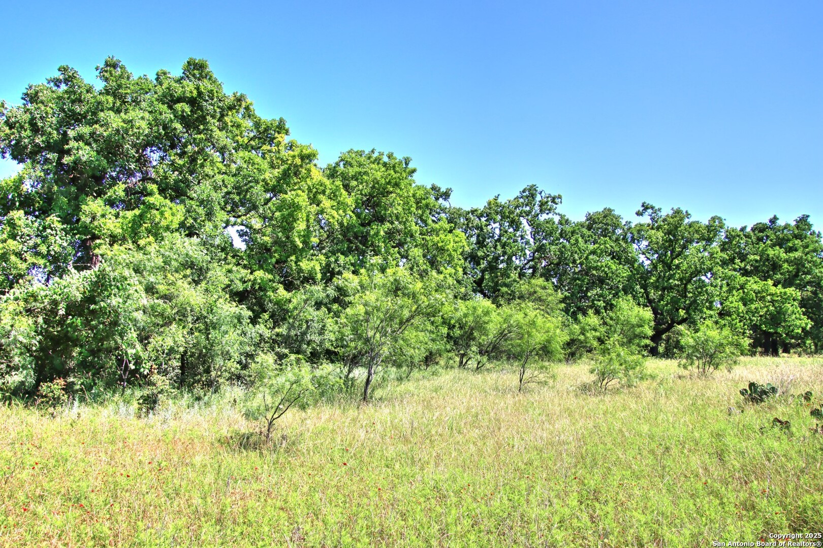 Lot 5 Rm 1323 Willow City TX 78675