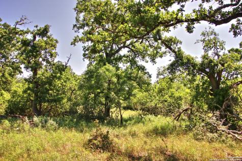 Lot 5 Rm 1323 Willow City TX 78675