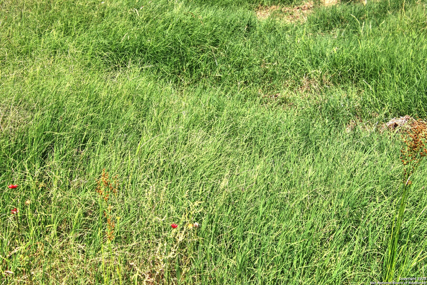 Lot 5 Rm 1323 Willow City TX 78675