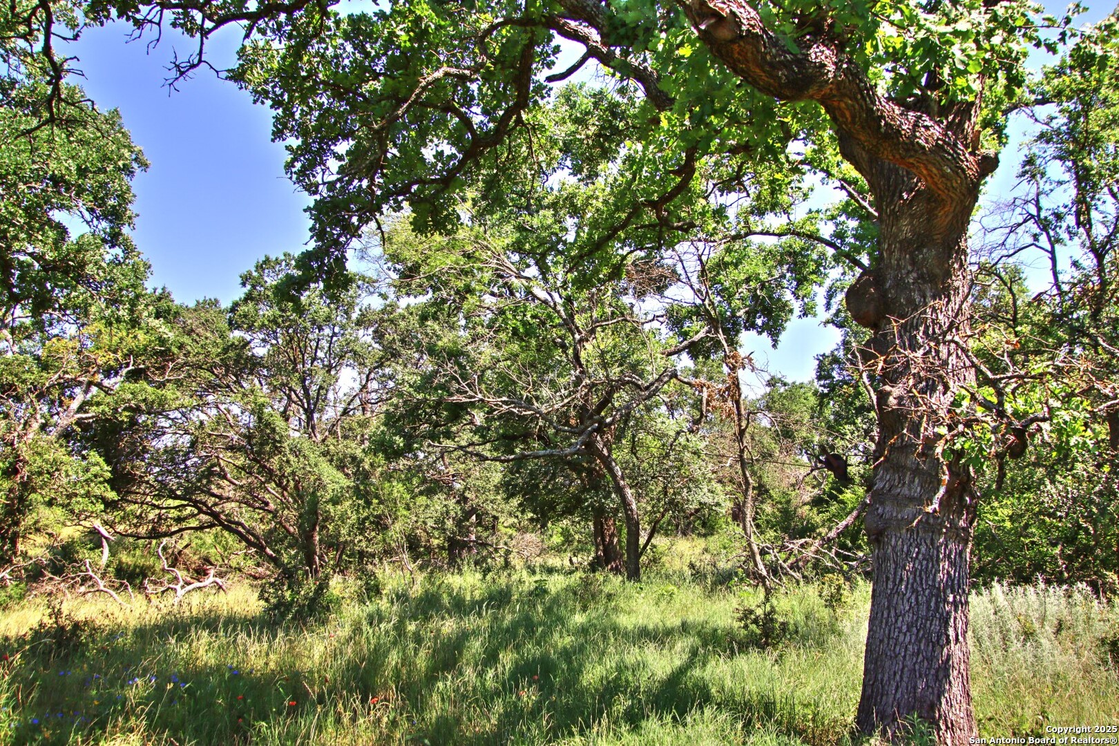 Lot 5 Rm 1323 Willow City TX 78675