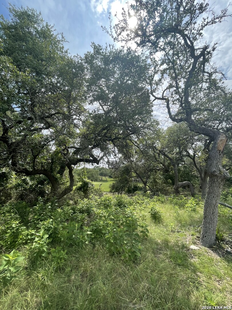 309 Jeff Vaughn Blanco TX 78606