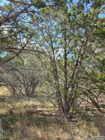 2142 Alto Lago Canyon Lake TX 78133