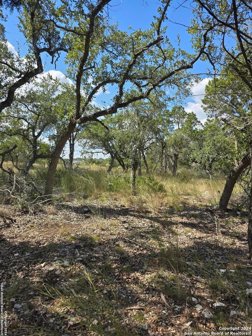 2142 Alto Lago Canyon Lake TX 78133