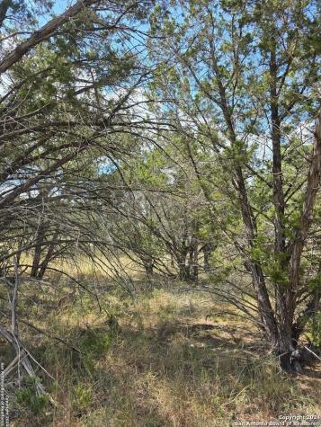 2142 Alto Lago Canyon Lake TX 78133