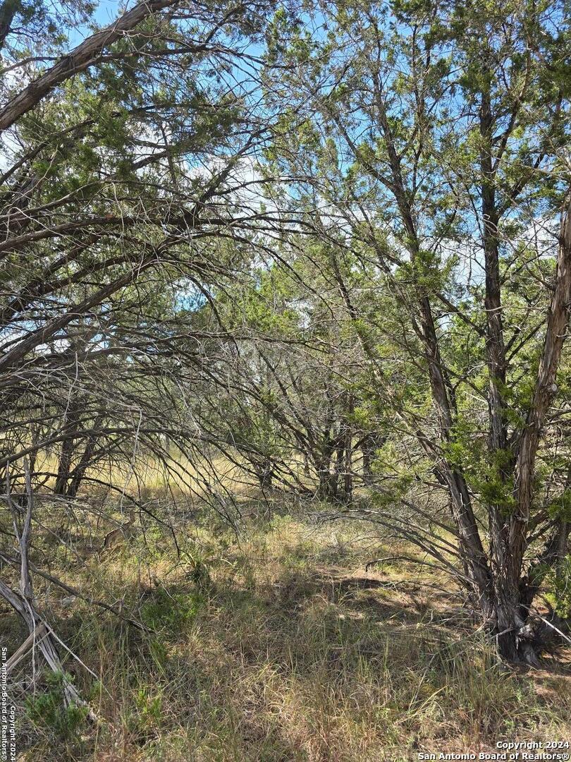 2142 Alto Lago Canyon Lake TX 78133
