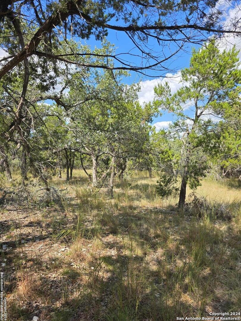 2142 Alto Lago Canyon Lake TX 78133