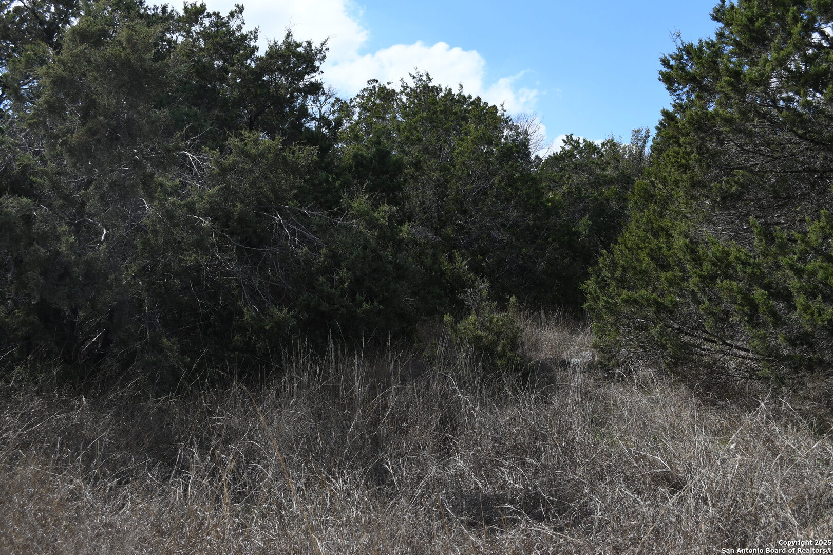 979 & 987 Deer Valley Pass Spring Branch TX 78070