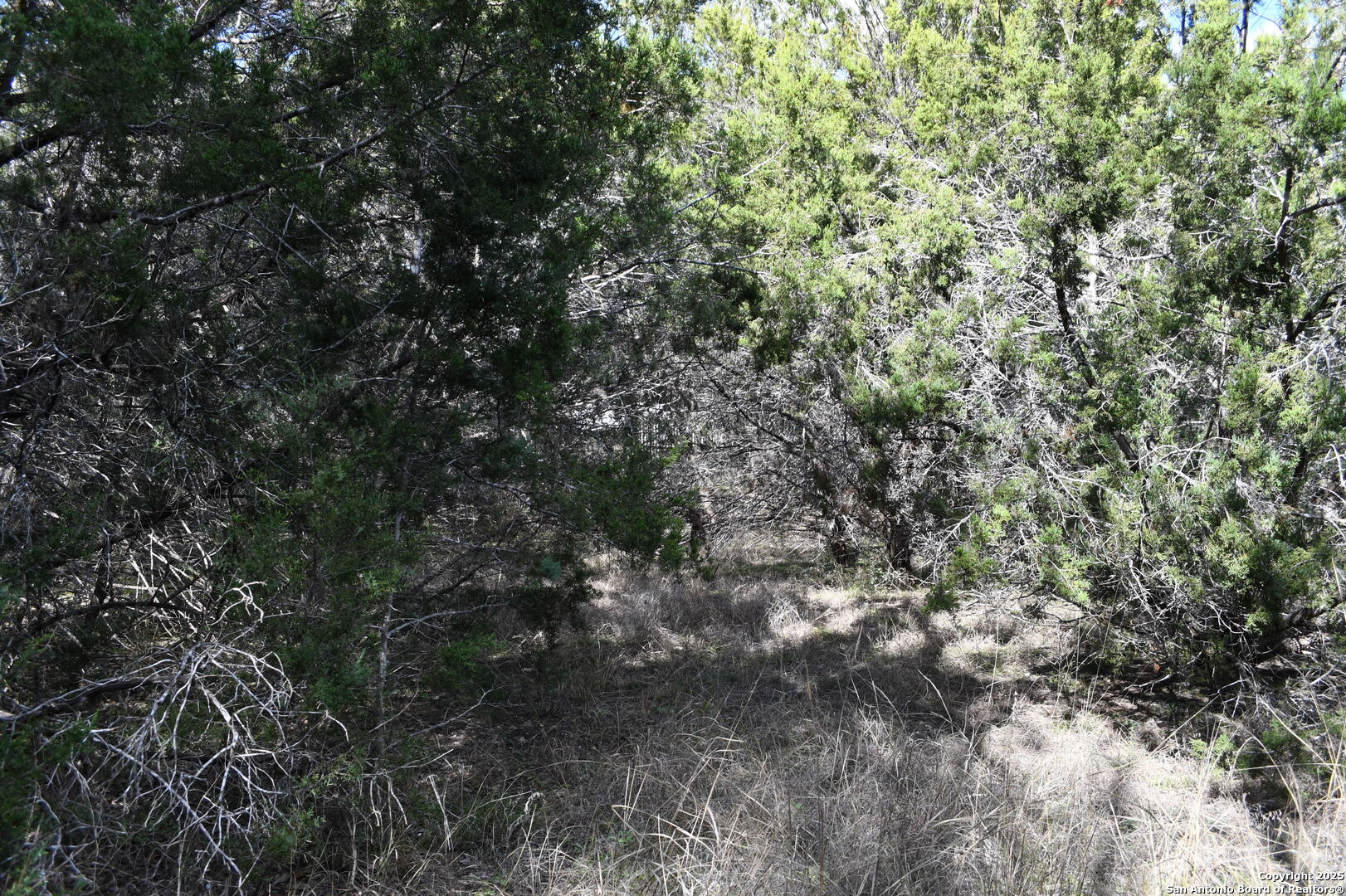 979 & 987 Deer Valley Pass Spring Branch TX 78070