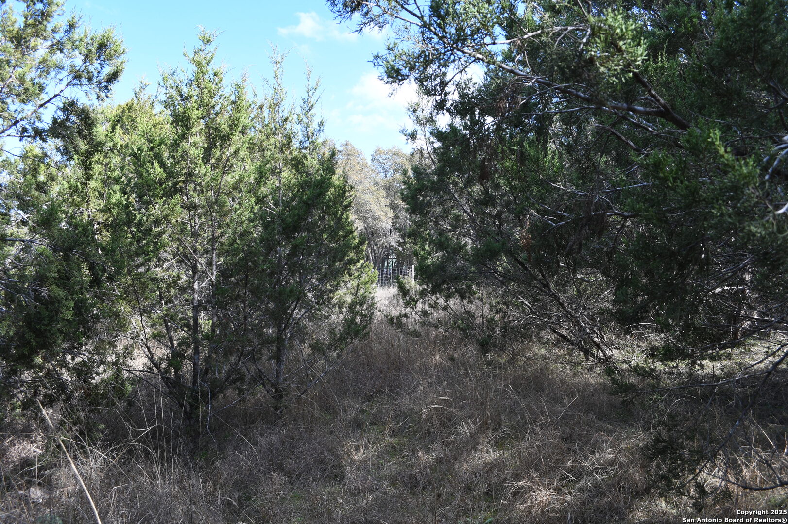 979 & 987 Deer Valley Pass Spring Branch TX 78070
