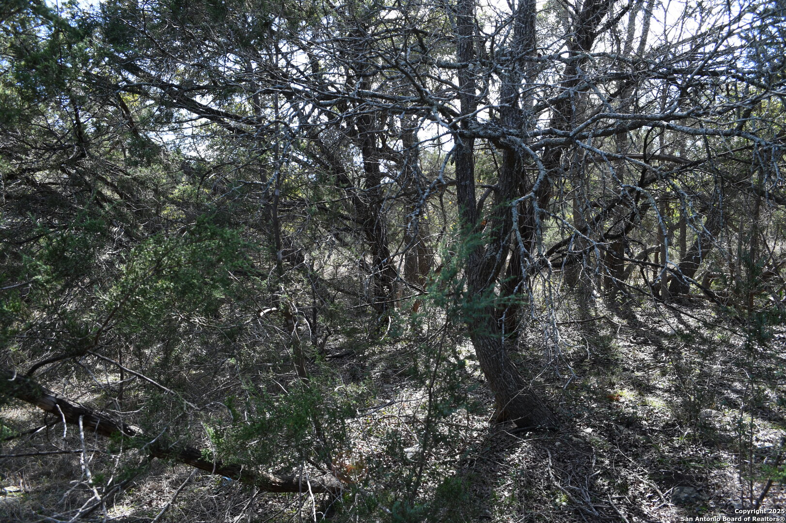 979 & 987 Deer Valley Pass Spring Branch TX 78070