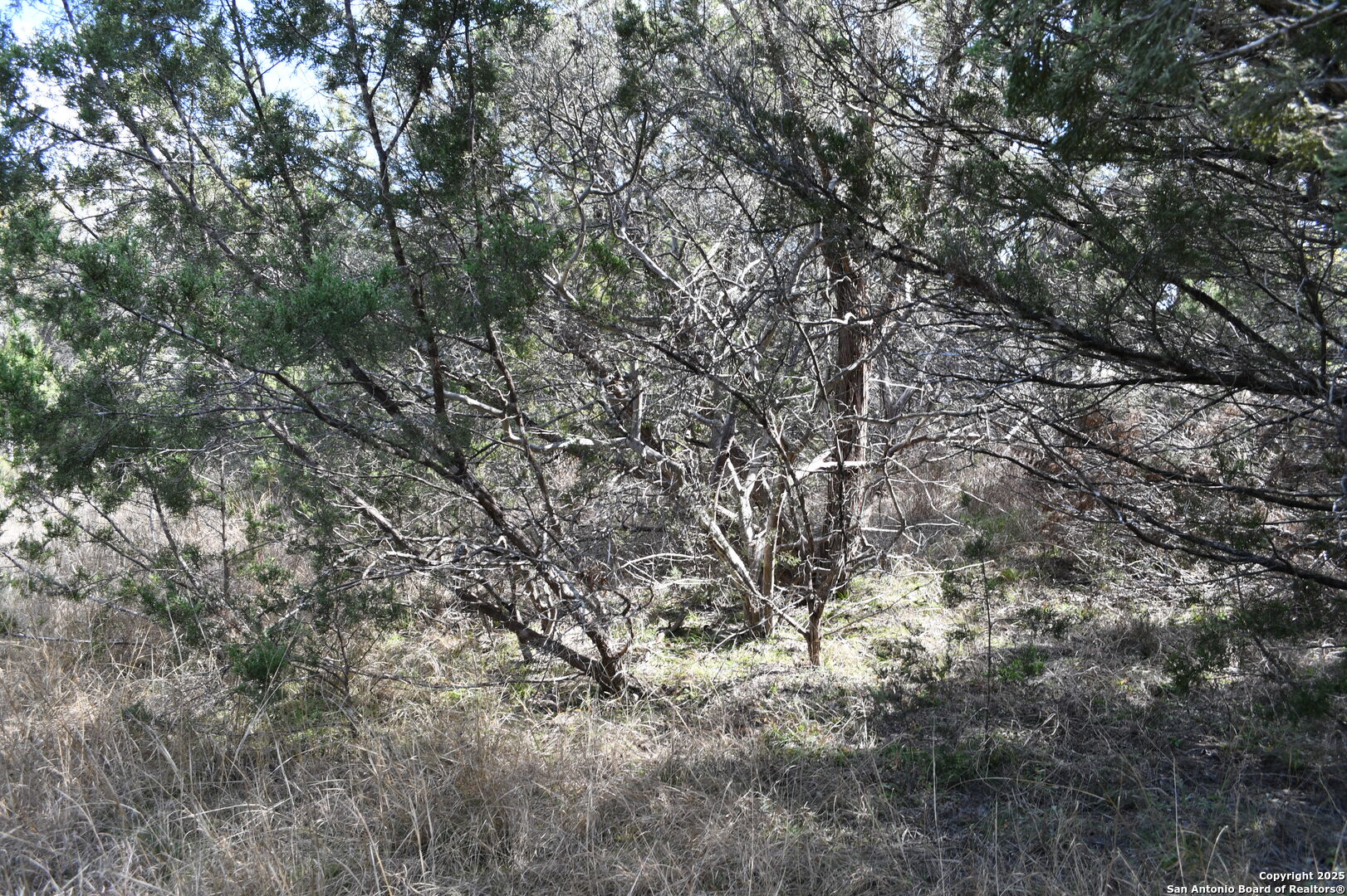 979 & 987 Deer Valley Pass Spring Branch TX 78070