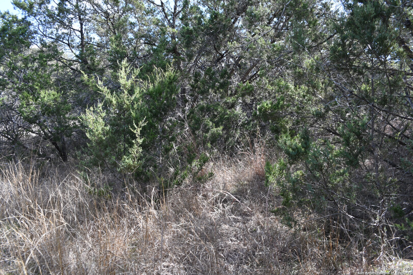 979 & 987 Deer Valley Pass Spring Branch TX 78070