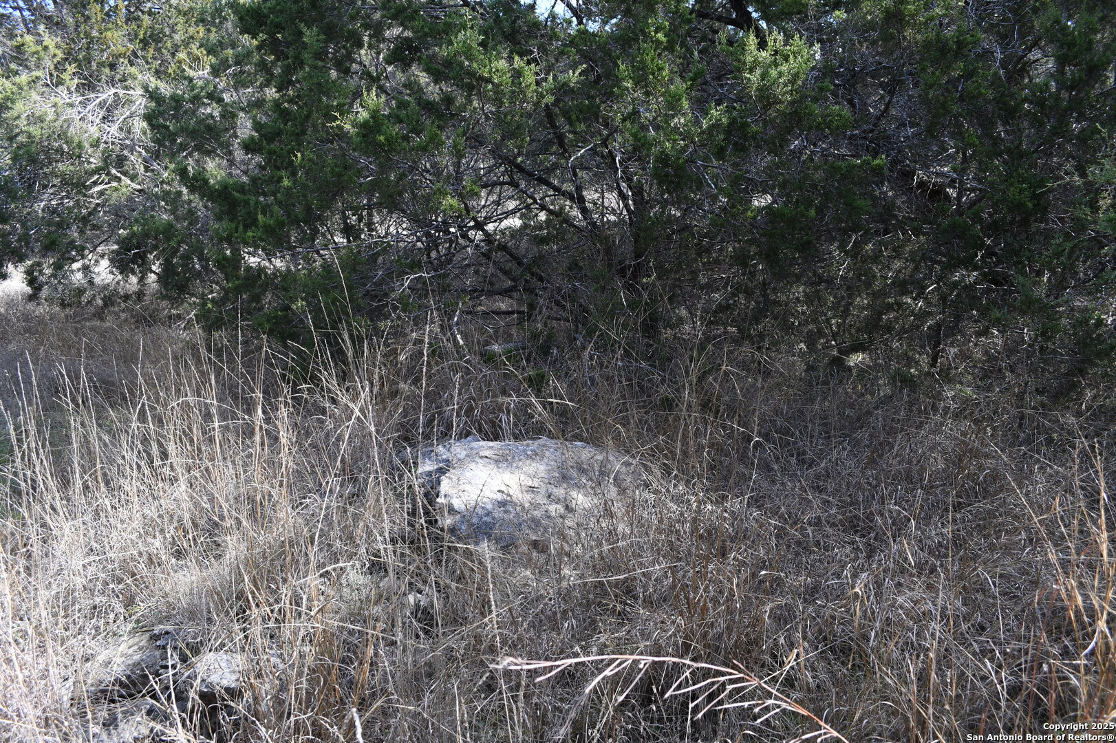 979 & 987 Deer Valley Pass Spring Branch TX 78070