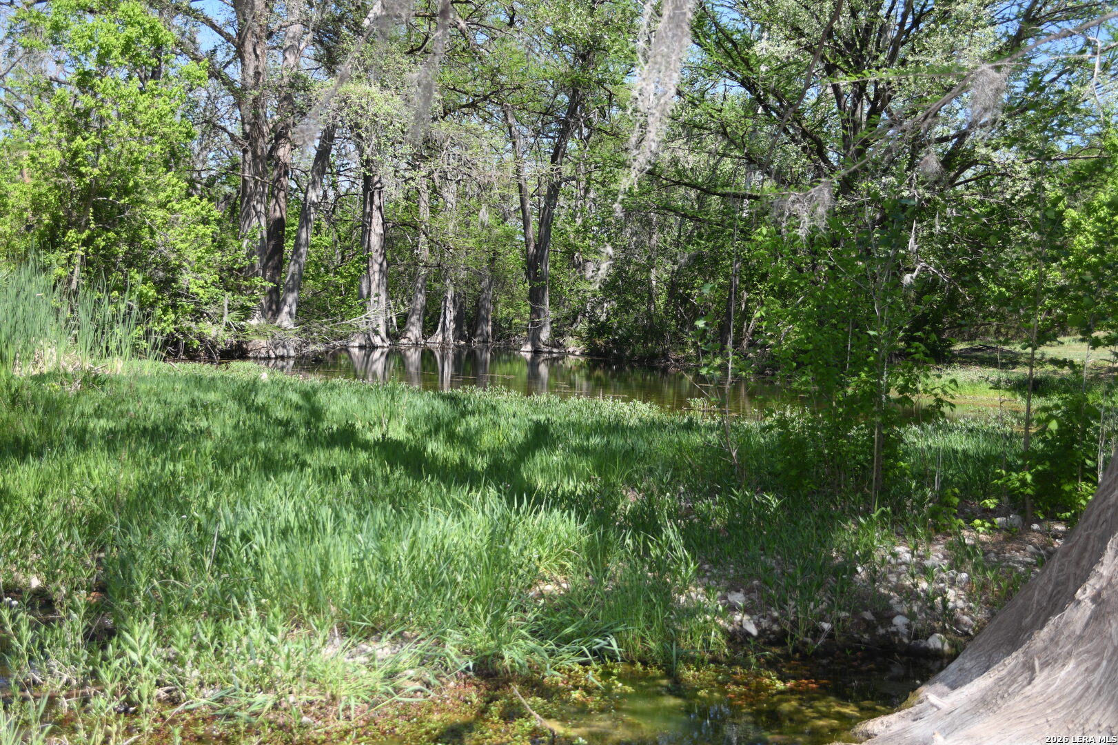 979 & 987 Deer Valley Pass Spring Branch TX 78070