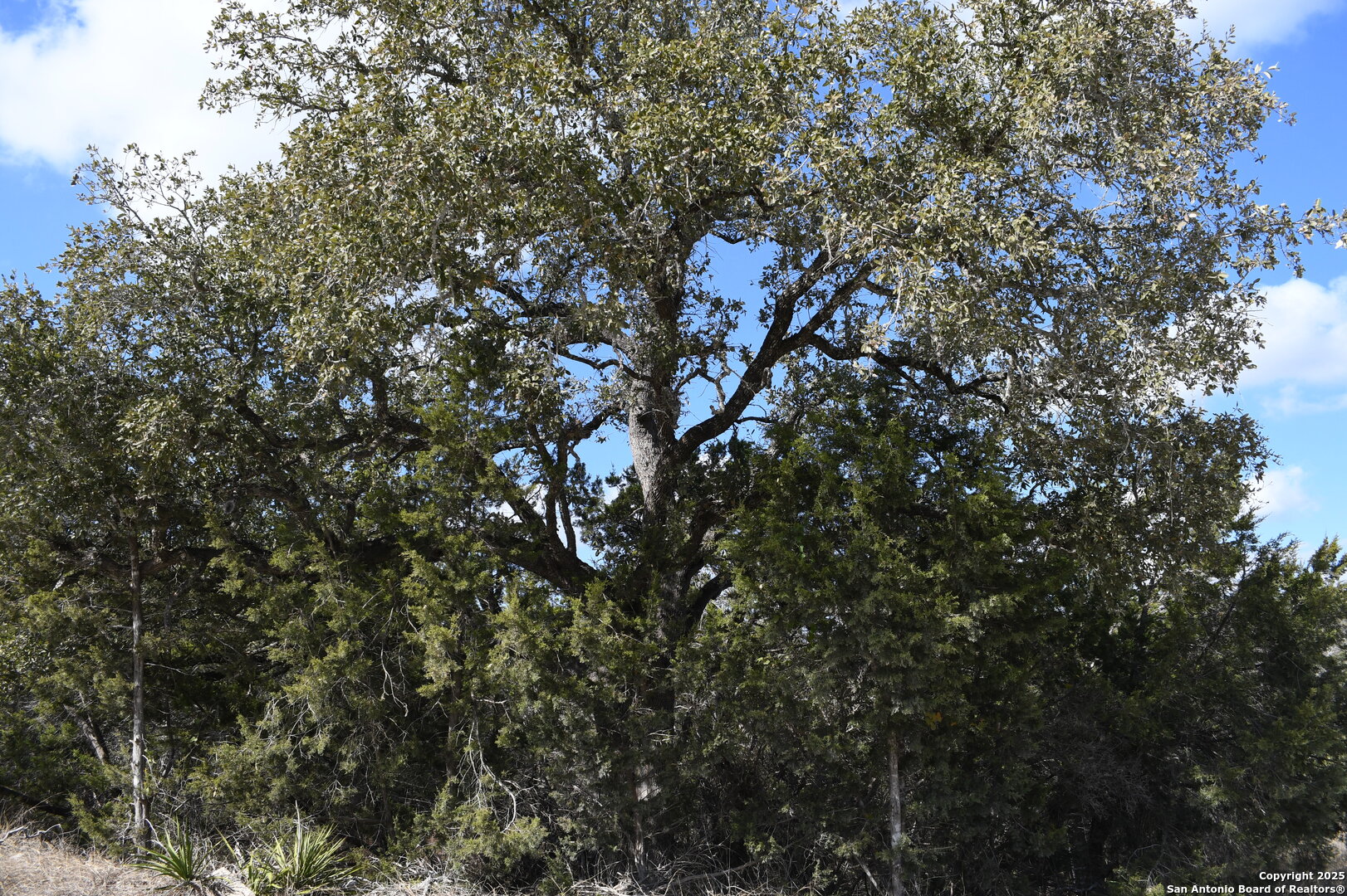 979 & 987 Deer Valley Pass Spring Branch TX 78070