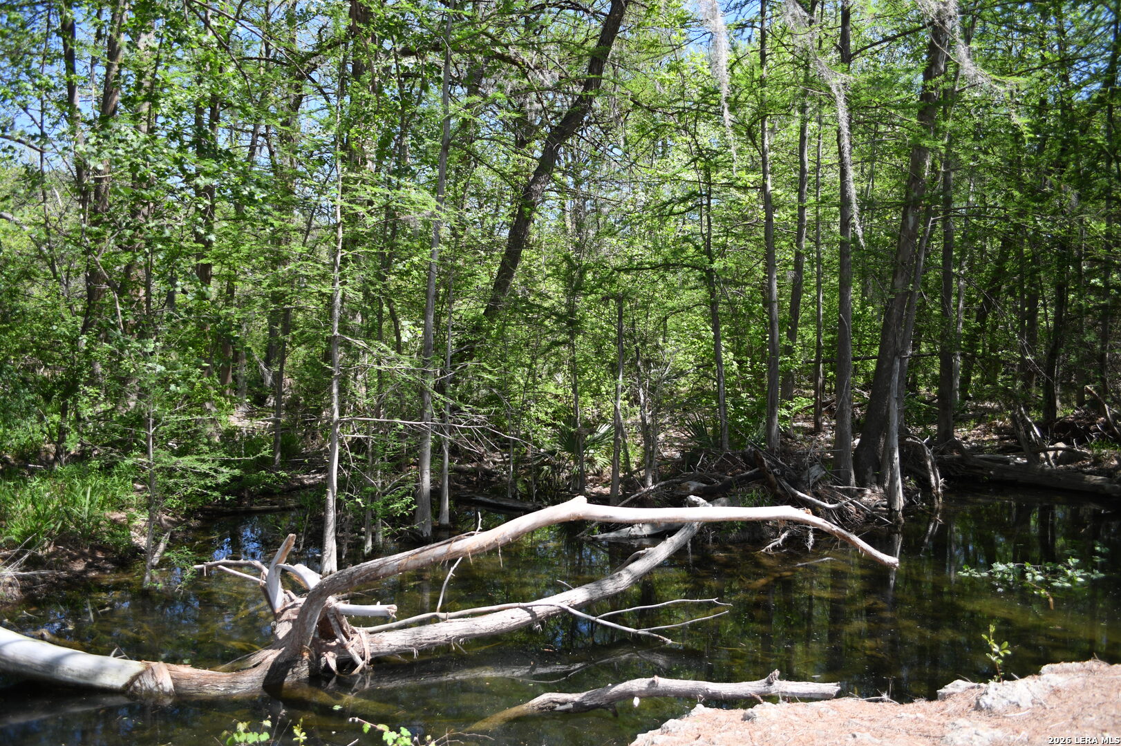 979 & 987 Deer Valley Pass Spring Branch TX 78070
