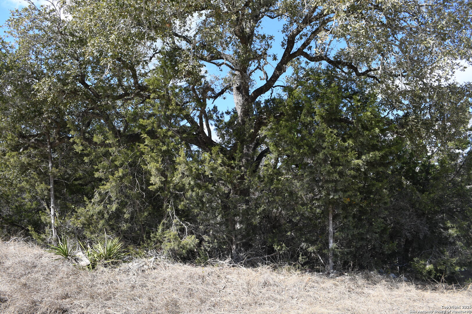979 & 987 Deer Valley Pass Spring Branch TX 78070