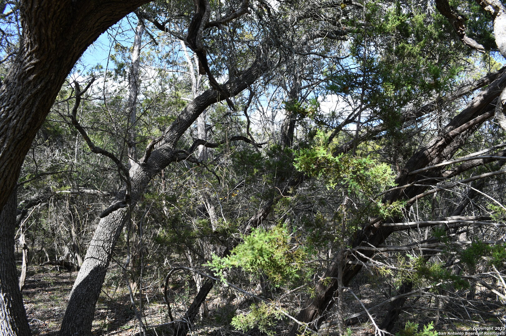 979 & 987 Deer Valley Pass Spring Branch TX 78070