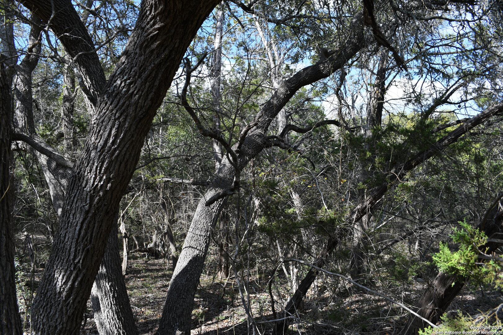 979 & 987 Deer Valley Pass Spring Branch TX 78070