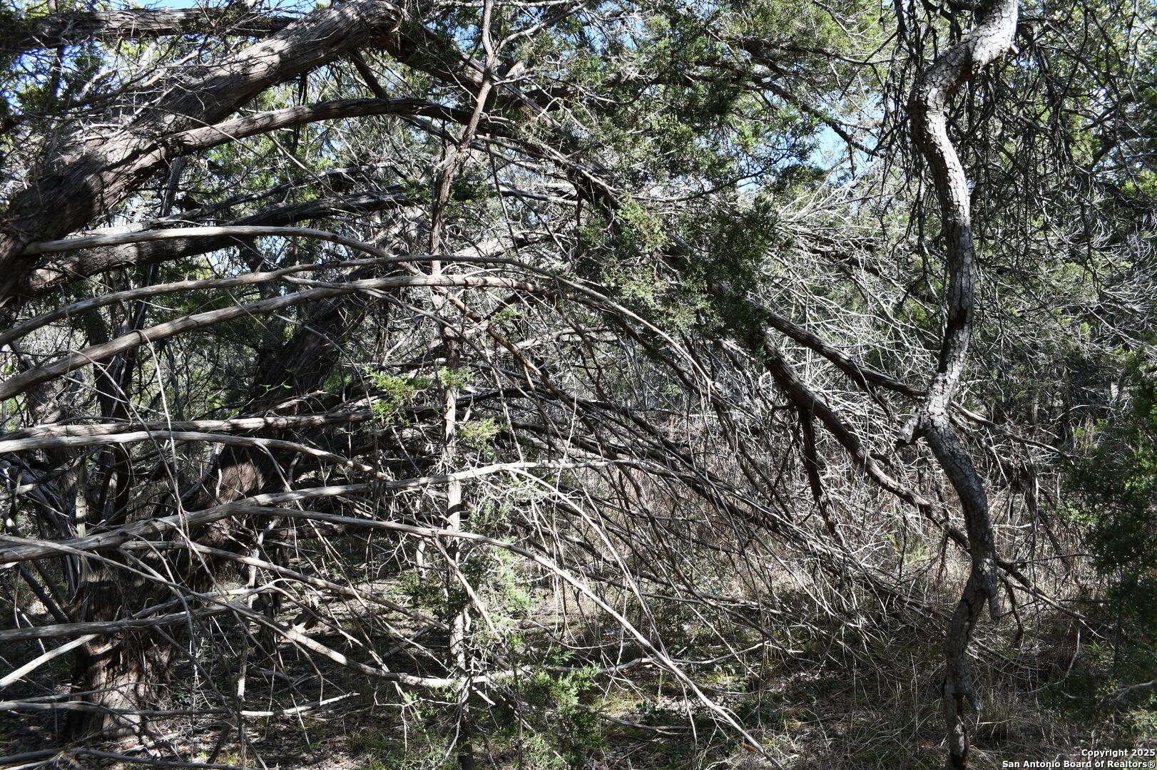 979 & 987 Deer Valley Pass Spring Branch TX 78070