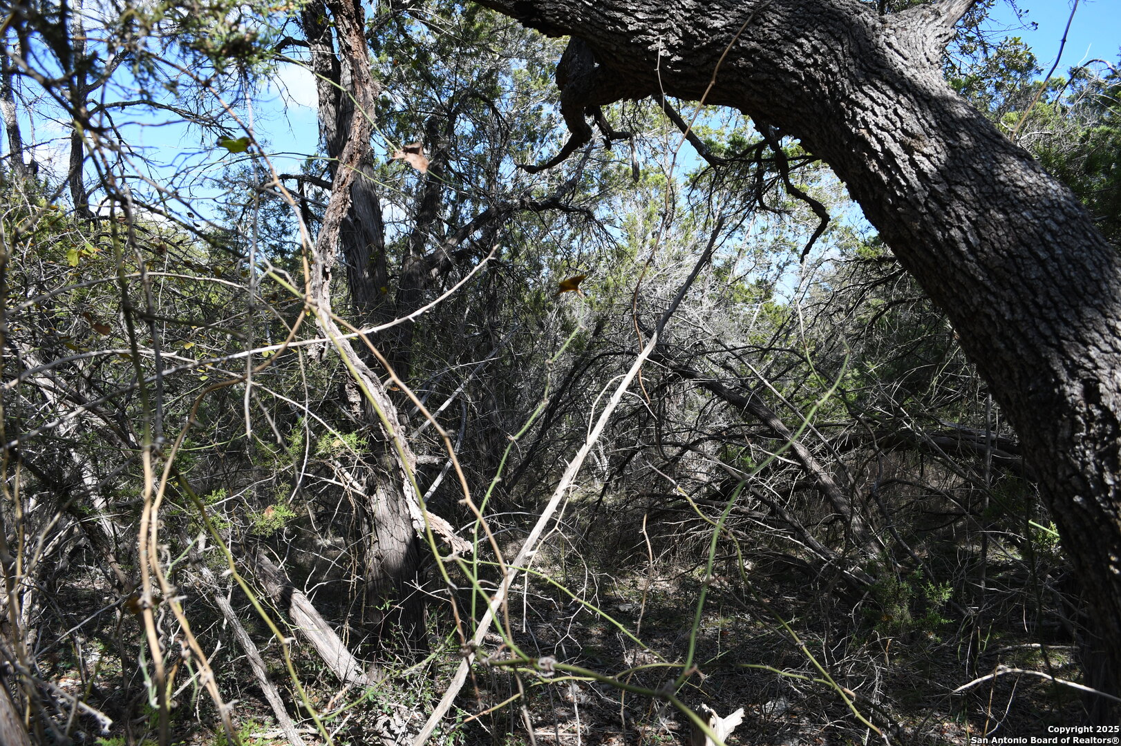 979 & 987 Deer Valley Pass Spring Branch TX 78070