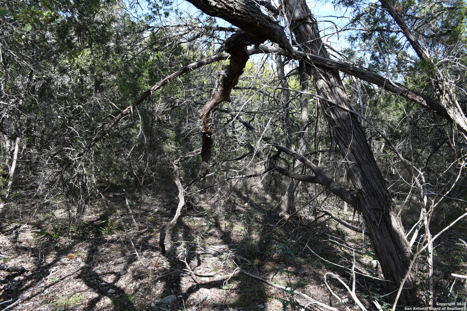 979 & 987 Deer Valley Pass Spring Branch TX 78070
