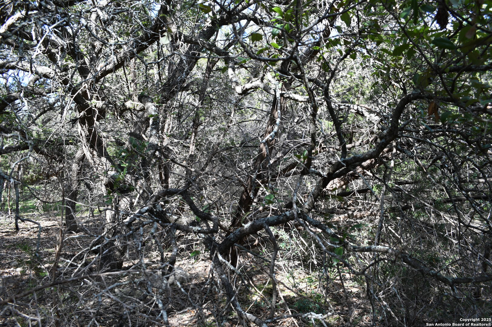 979 & 987 Deer Valley Pass Spring Branch TX 78070