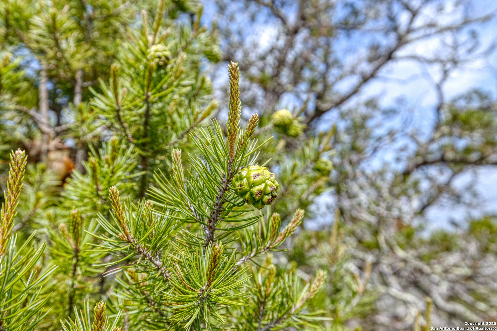 824 S Pinon Loop Camp Wood TX 78833