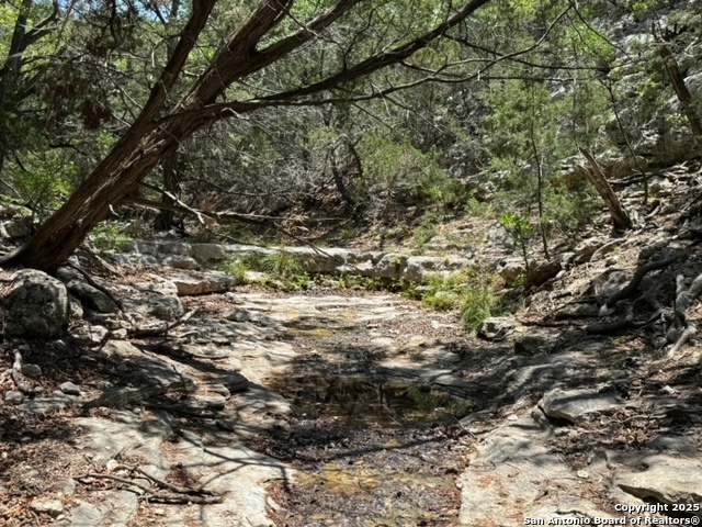 824 S Pinon Loop Camp Wood TX 78833
