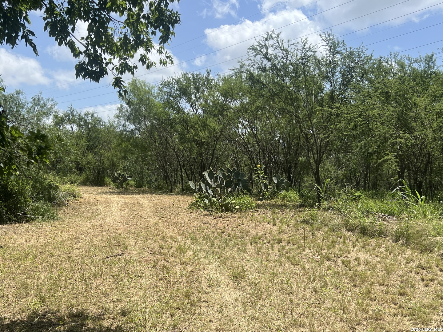 12772 S Us Highway 181 San Antonio TX 78223