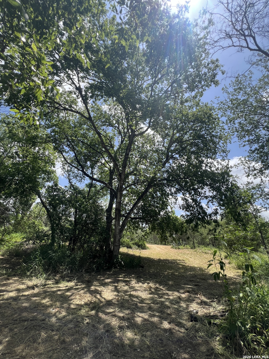 12772 S Us Highway 181 San Antonio TX 78223