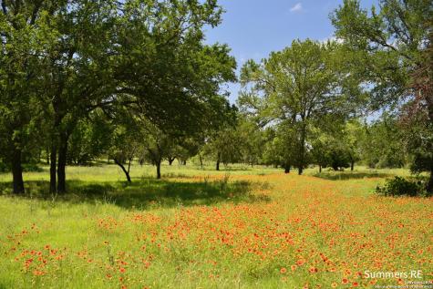 LT11 Vintners Way Fredericksburg TX 78624