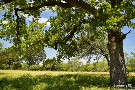 LT11 Vintners Way Fredericksburg TX 78624