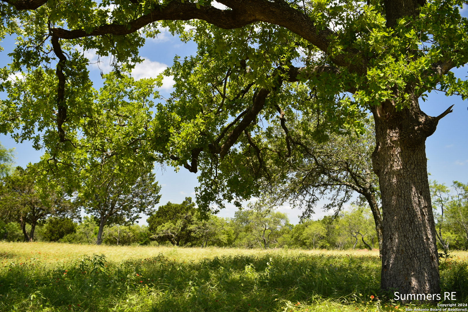 LT11 Vintners Way Fredericksburg TX 78624