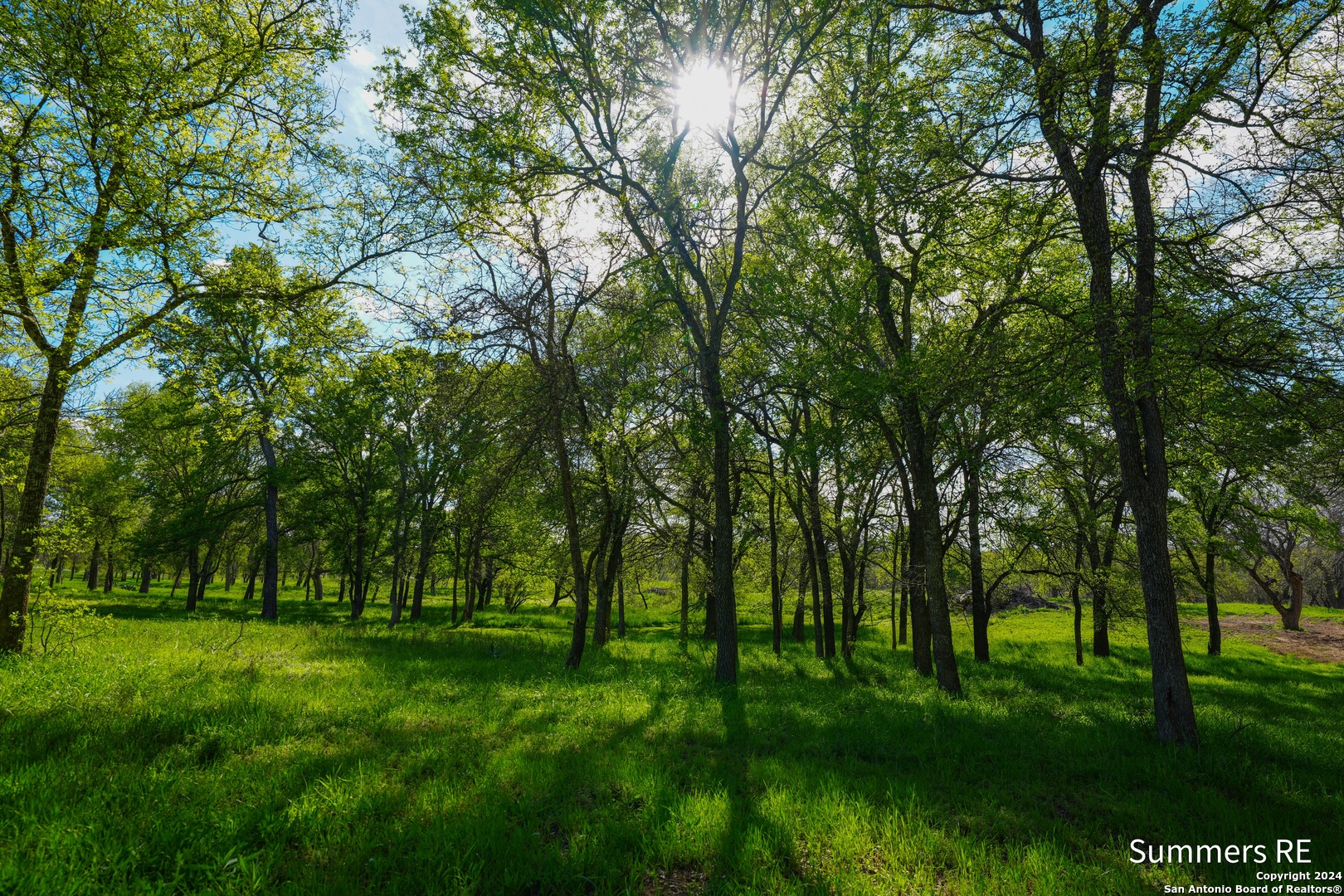 LT11 Vintners Way Fredericksburg TX 78624