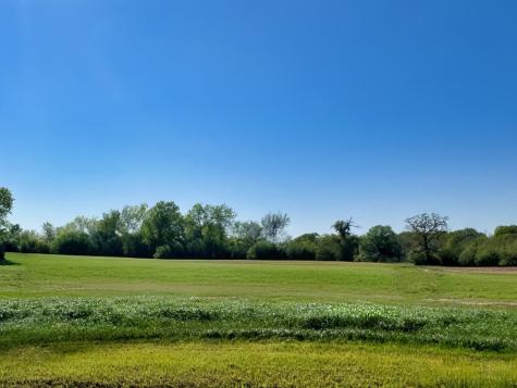 Lot 38 Panther Ridge Drive Iola TX 77861