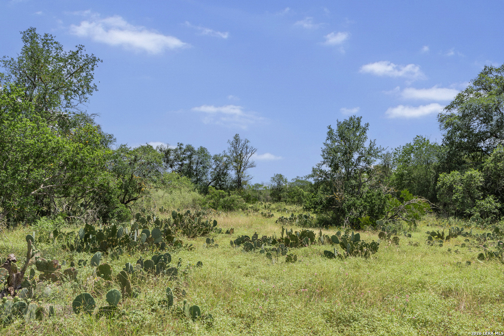 Tbd 493 Acres Fm 1957 San Antonio TX 78253
