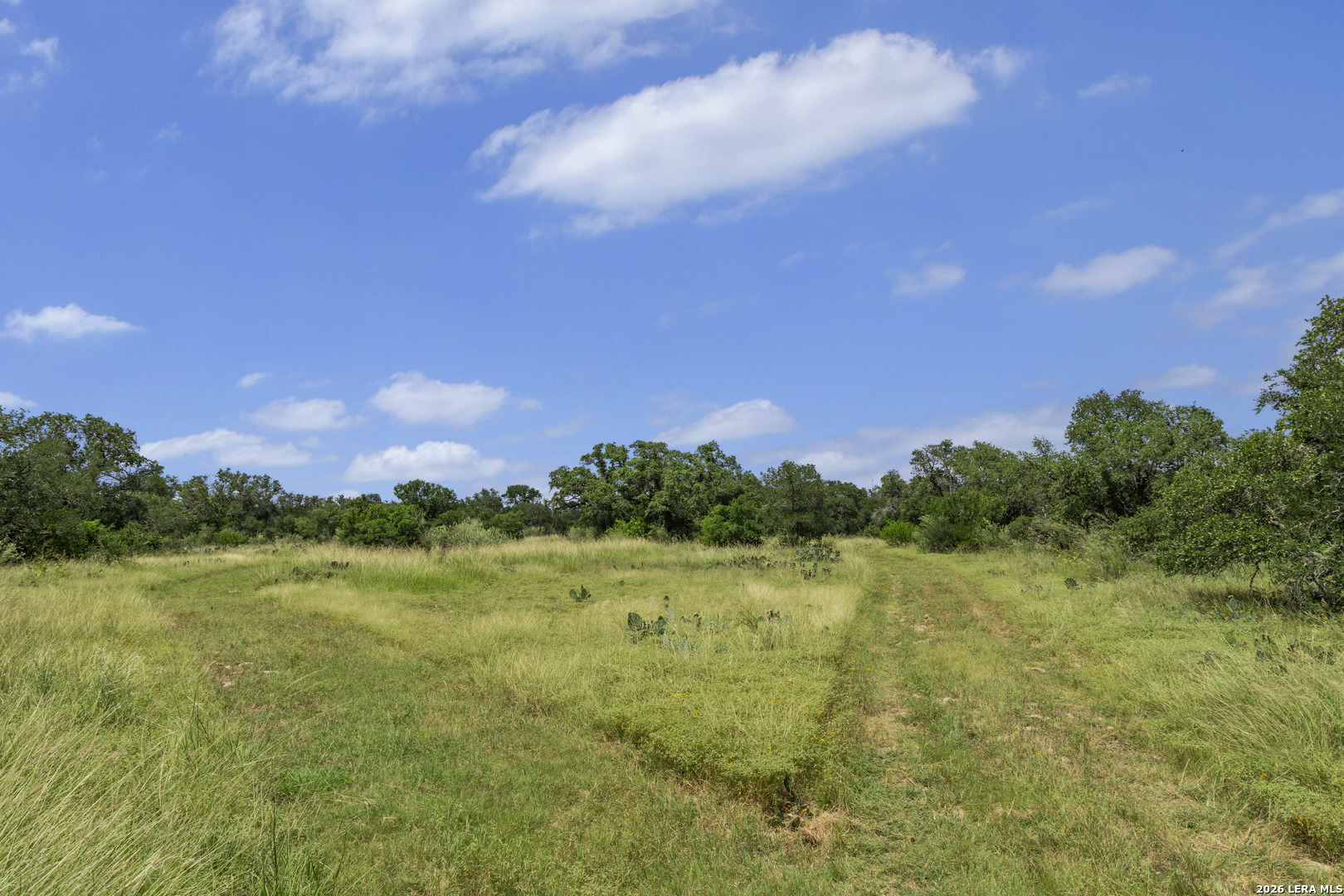 Tbd 493 Acres Fm 1957 San Antonio TX 78253