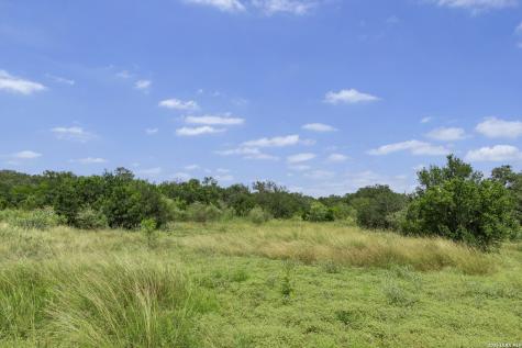 Tbd 493 Acres Fm 1957 San Antonio TX 78253