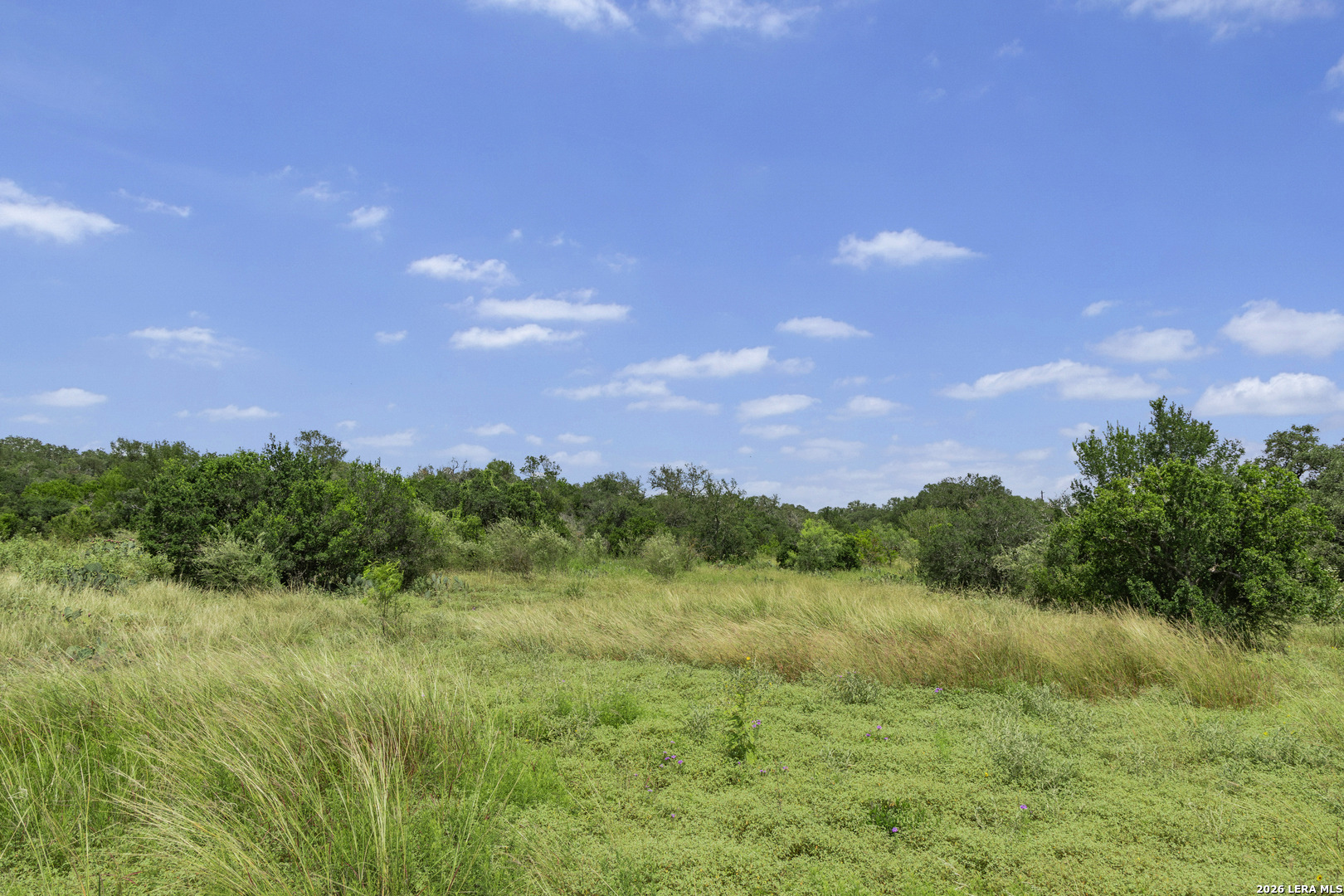 Tbd 493 Acres Fm 1957 San Antonio TX 78253