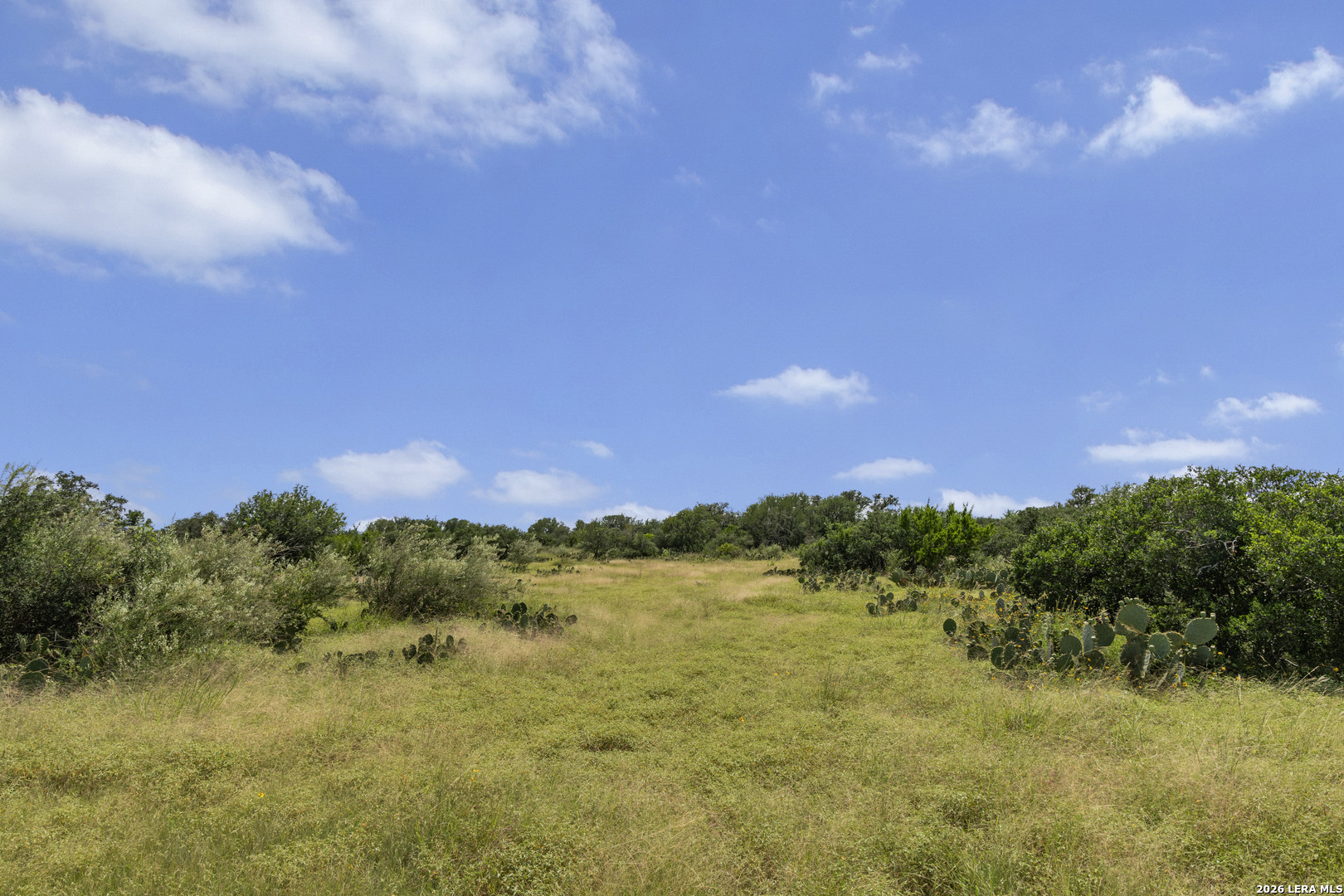 Tbd 493 Acres Fm 1957 San Antonio TX 78253
