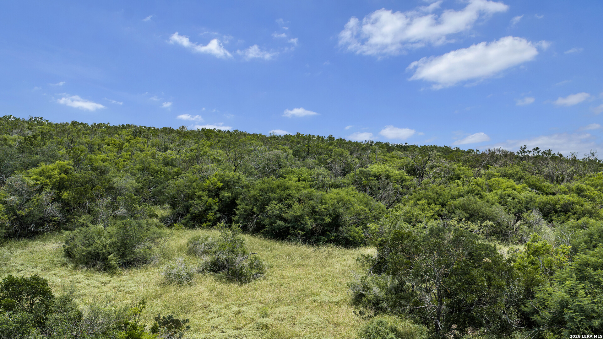 Tbd 493 Acres Fm 1957 San Antonio TX 78253