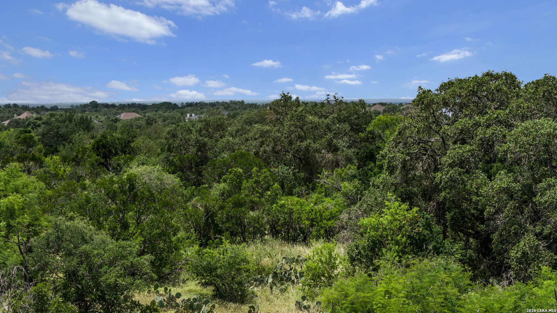 Tbd 493 Acres Fm 1957 San Antonio TX 78253
